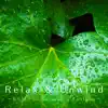 Relaxing BGM Project - Relax & Unwind -BGM for Relieving Fatigue